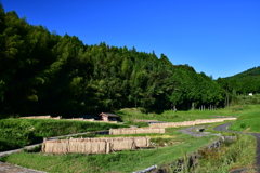 農村の風景