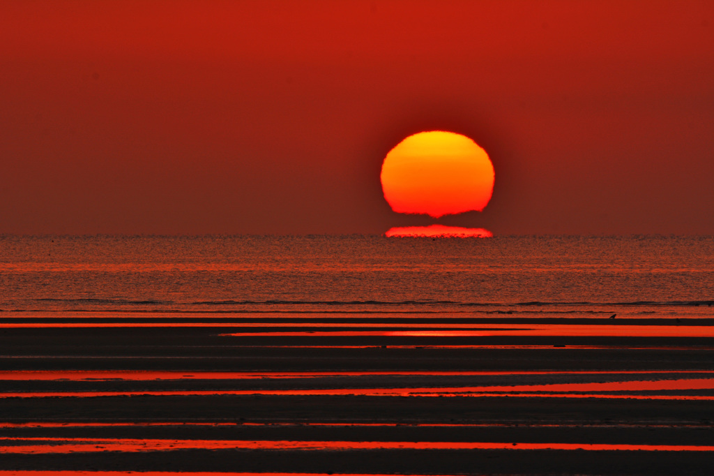 マフラーまいたダルマ太陽