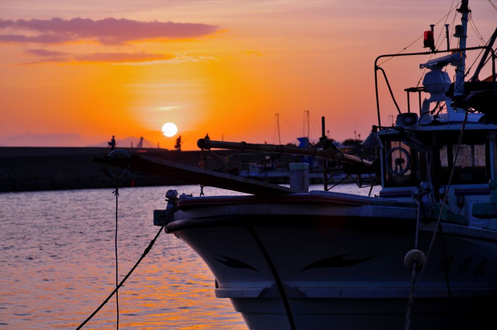 釣り人の背中に光る
