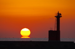 久しぶりのダルマ朝日2