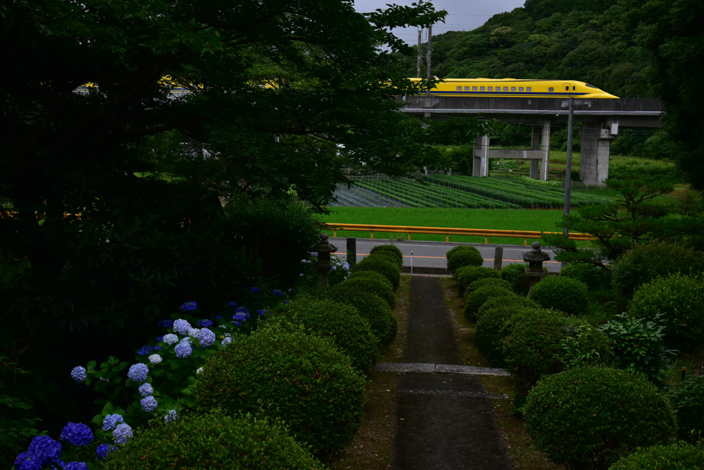 小雨の中　上りＤＹ