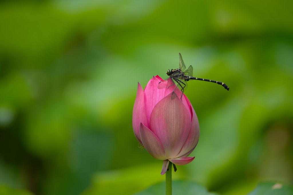 お気に入りの場所