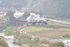 小雨の中