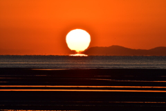 マフラーを巻いたダルマ