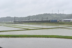 雨降る中のトワイライト