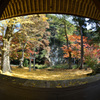 赤田神社の紅葉