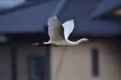 颯爽と