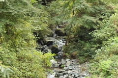 秩父の小川