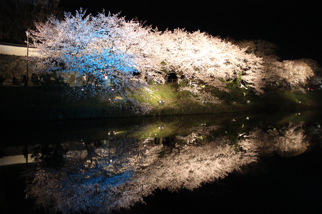 福岡城さくらまつり