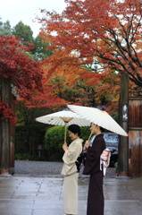雅