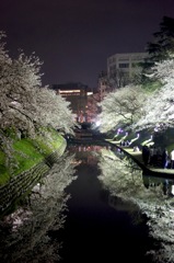 シンメトリー