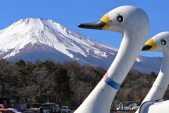 山中湖から