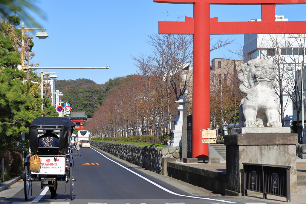 若宮大路・鎌倉