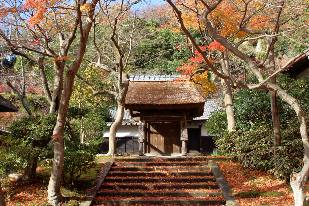 12月の円覚寺