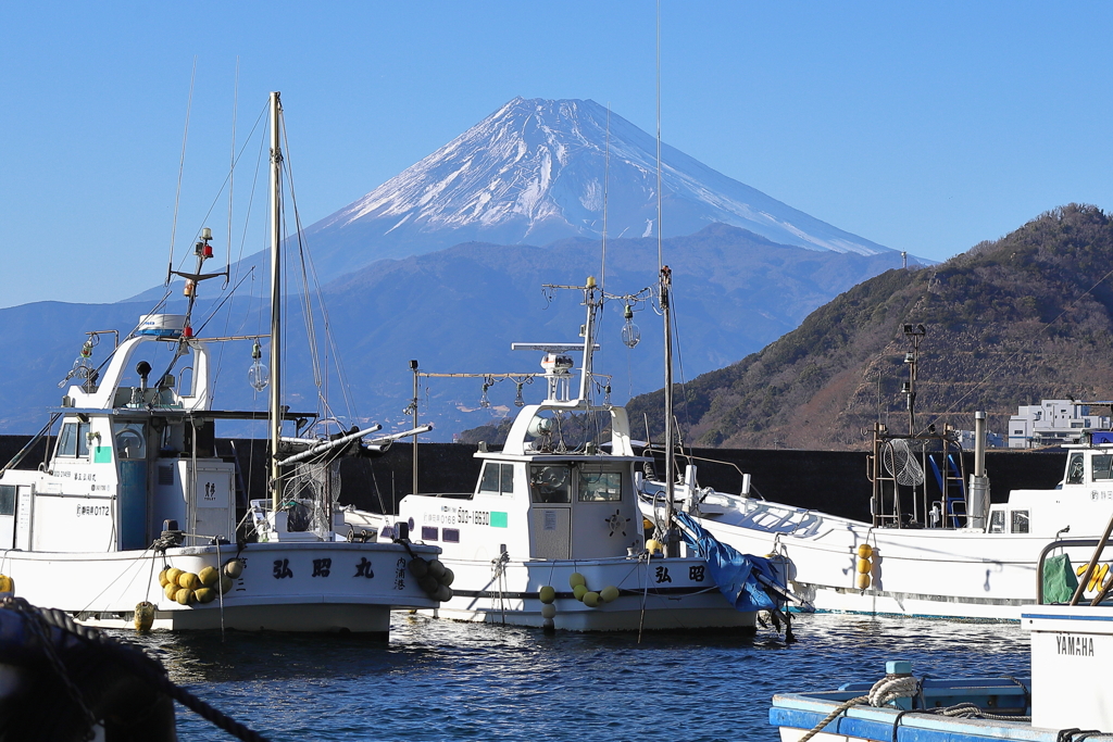富士山