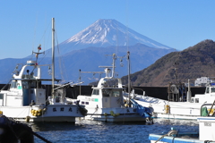 富士山