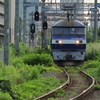 夏草の線路
