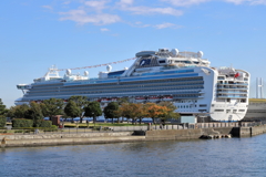 DIAMOND PRINCESS