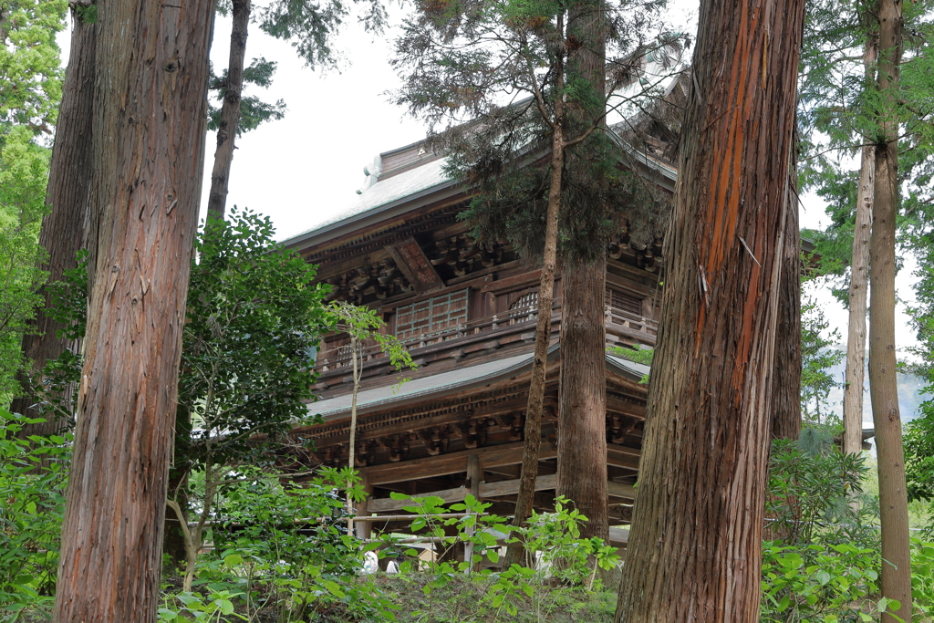 鎌倉・円覚寺