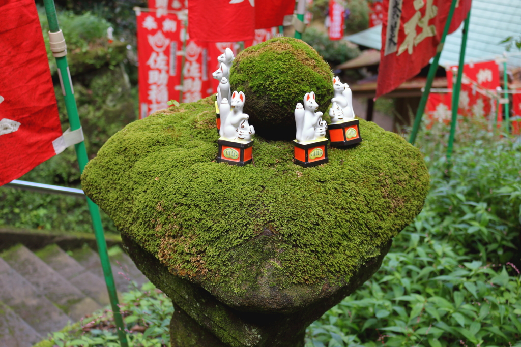 鎌倉　佐助稲荷神社