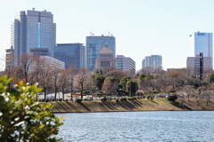 皇居外苑から国会議事堂