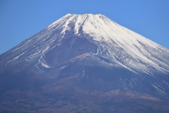 富士山 （三島市の農道から）