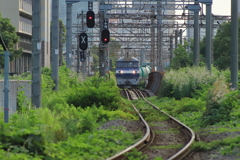 夏草の線路