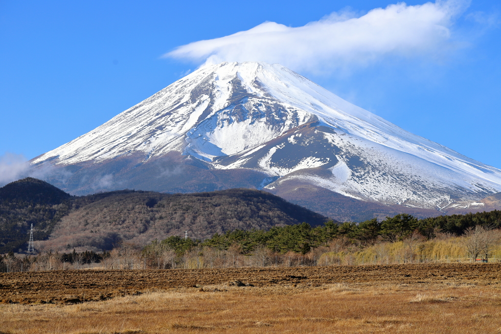 富士山遊歩道より