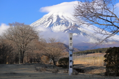 富士山遊歩道より