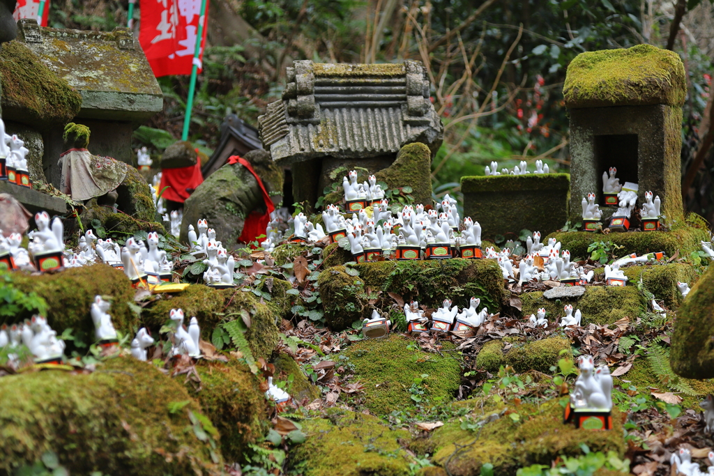 鎌倉・佐助稲荷神社