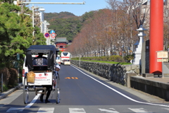 若宮大路・鎌倉