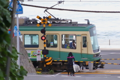 １日の始まりは波乗り