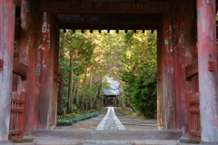 鎌倉　２月の寿福寺