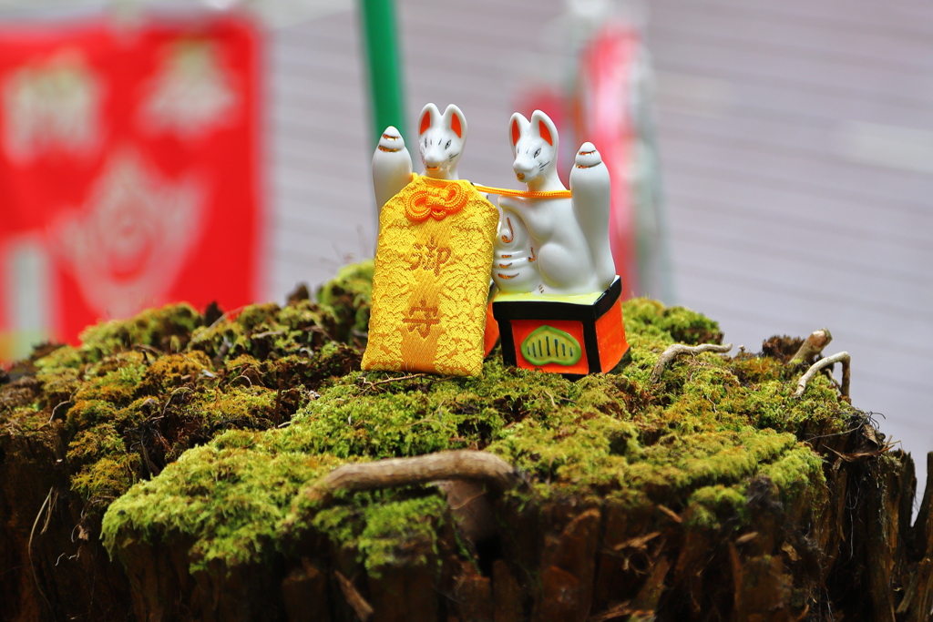 鎌倉・佐助稲荷神社