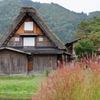 白川郷