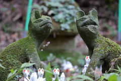 佐助稲荷神社