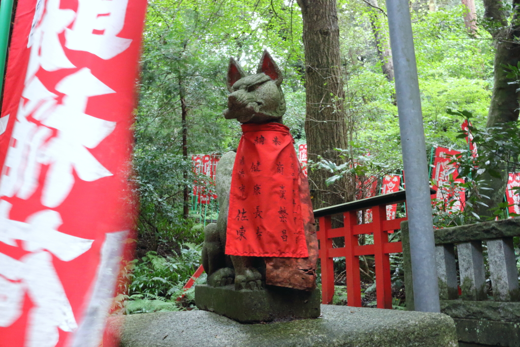 鎌倉　佐助稲荷神社