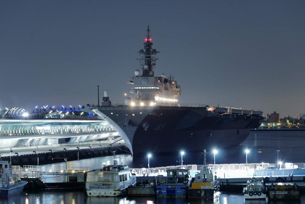 客船ターミナルに現れた巨艦