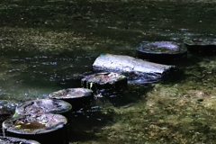 せせらぎの道・水遊び場