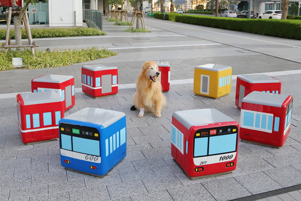 相棒とケイキューブ