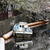 大岡川（横浜）