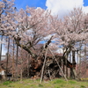 大津山 実相寺から（蔵出）