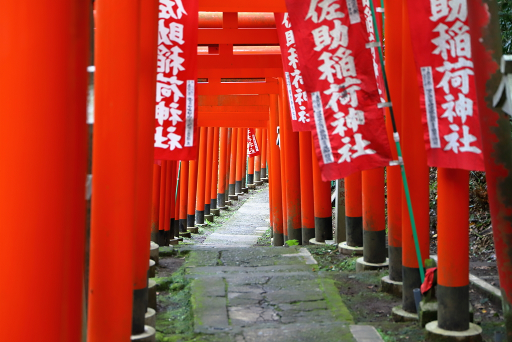 佐助稲荷神社・鎌倉