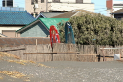 平塚海岸