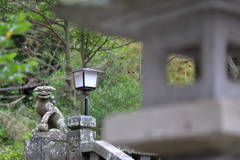 御霊神社・鎌倉