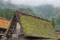 白川郷