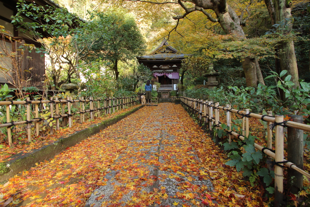 12月の円覚寺