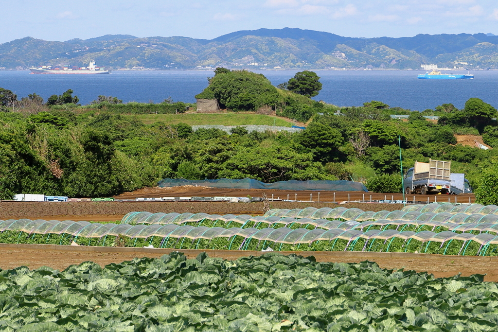 東京湾の入り口付近