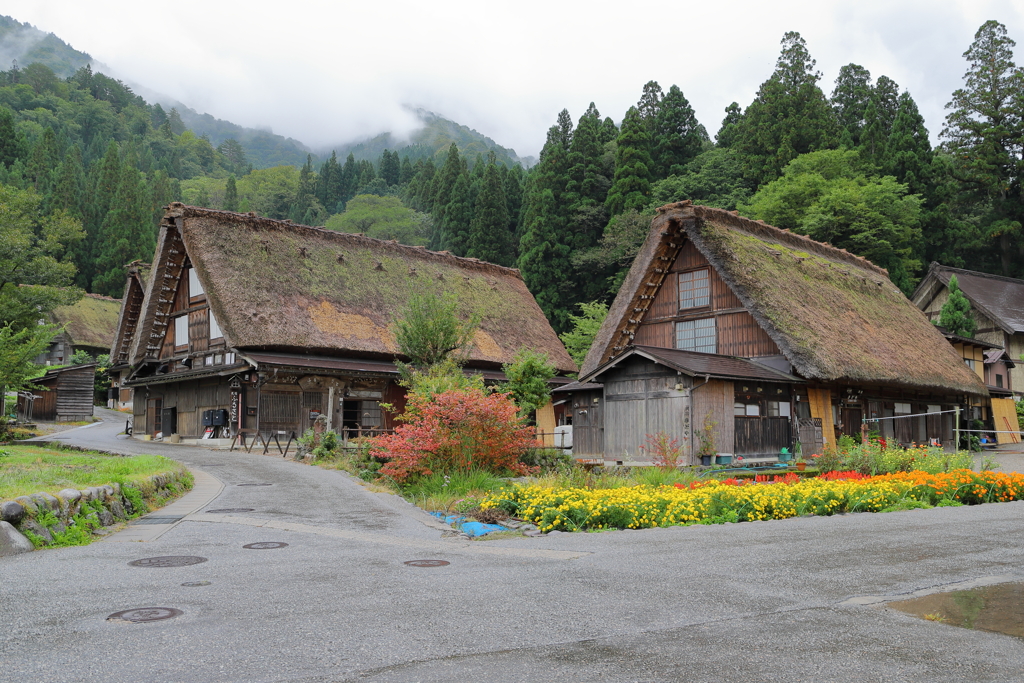 白川郷