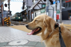 撮影はいつも一緒（蔵出）